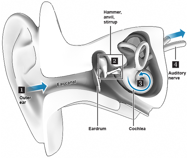 Can earplugs cause damage to the eardrum?